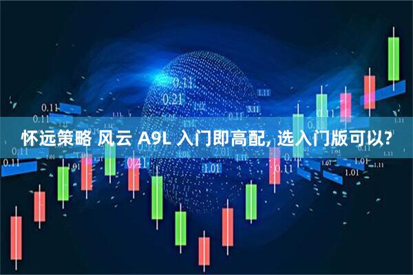 怀远策略 风云 A9L 入门即高配, 选入门版可以?
